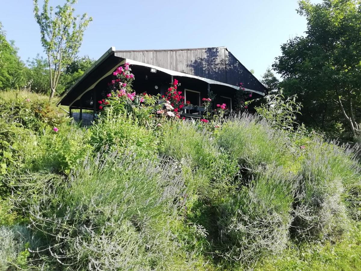 Baranja Black Hill'S Gajic Exterior foto