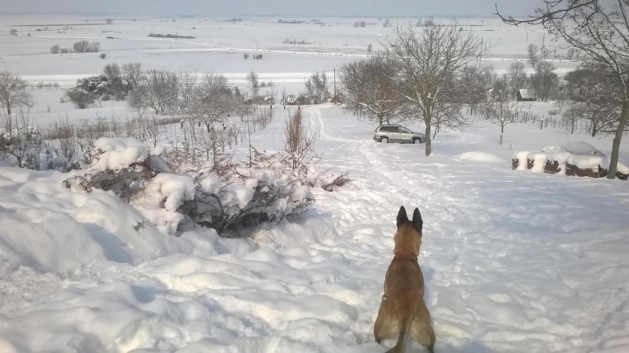 Baranja Black Hill'S Gajic Exterior foto